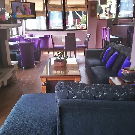 בית הארחה Alpina Suites *